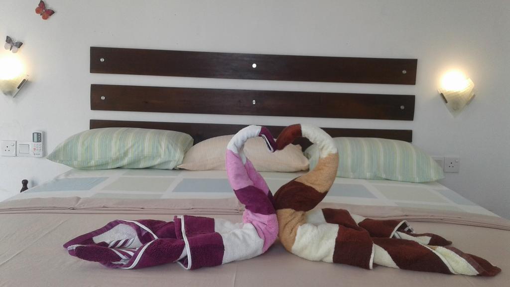 Petit Guest House Negombo Exterior photo